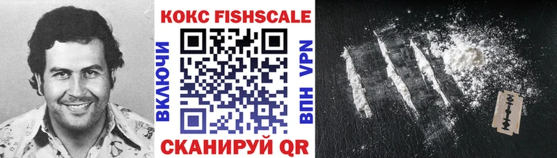 Купить  Калининск  Кокаин FishScale 