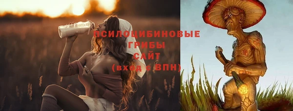 дмт Зерноград