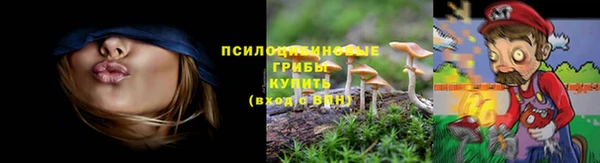 дмт Зерноград