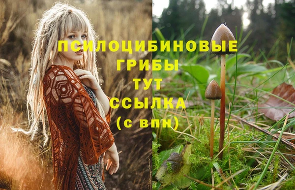 дмт Зерноград